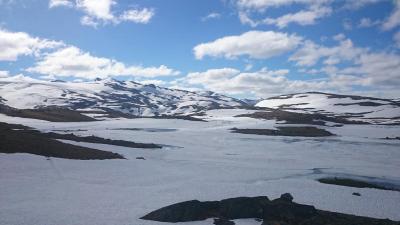 post-12082-0-47909300-1403457981_thumb.j