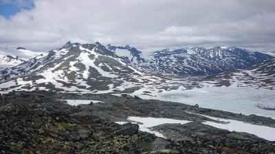 post-12082-0-58030500-1403458138_thumb.j