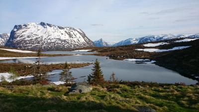 post-12082-0-75996000-1402181414_thumb.j