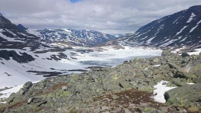 post-12082-0-80212300-1403458090_thumb.j