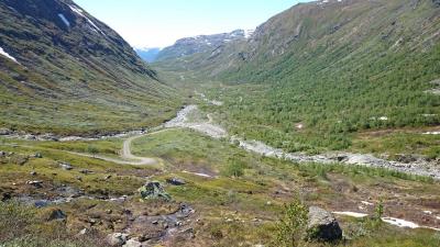 post-12082-0-83698000-1402782859_thumb.j