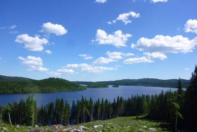 post-12580-0-11929000-1402425551_thumb.j