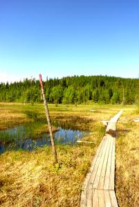 post-12580-0-20447000-1402425546_thumb.j