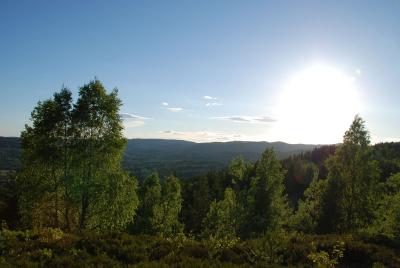 post-12580-0-31435100-1402522086_thumb.j