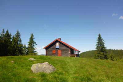 post-12580-0-86895400-1402425554_thumb.j