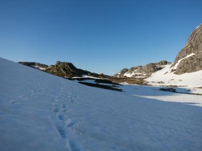 post-13206-0-06336300-1402332638_thumb.j