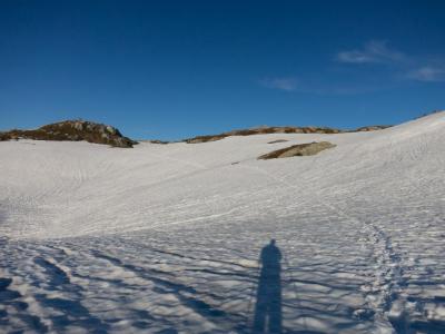 post-13206-0-30968700-1402333323_thumb.j