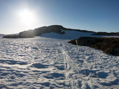 post-13206-0-36073500-1402333322_thumb.j