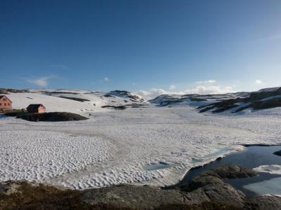 post-13206-0-44295300-1402333321_thumb.j