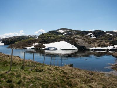 post-13206-0-84059800-1402332005_thumb.j