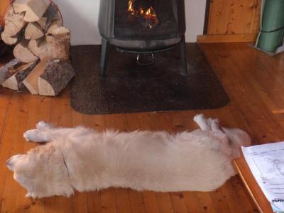 post-14173-0-04398300-1402864286_thumb.j