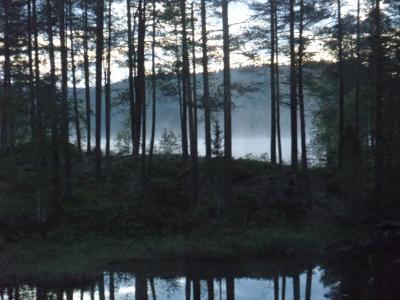 post-14173-0-17275200-1402865318_thumb.j