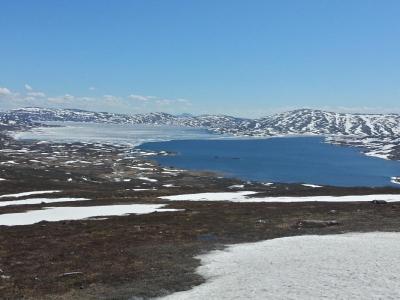 post-14443-0-14316200-1402939269_thumb.j