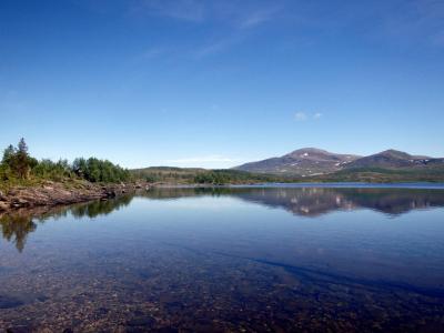 post-14443-0-17463900-1402939978_thumb.j