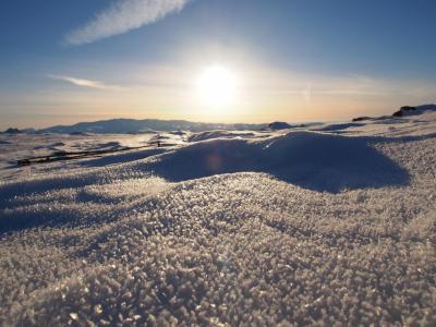 post-14443-0-22474600-1402938763_thumb.j