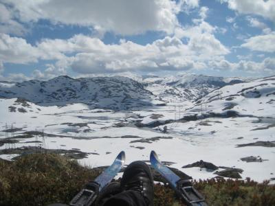 post-14443-0-43395900-1402947690_thumb.j