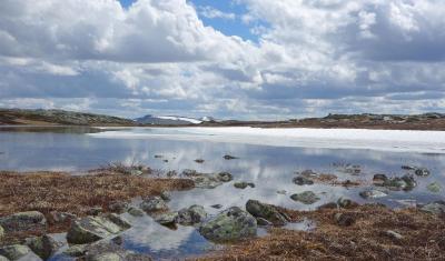 post-14443-0-68451000-1402938958_thumb.j