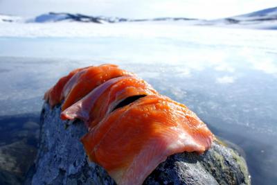 post-14443-0-72072800-1403356466_thumb.j