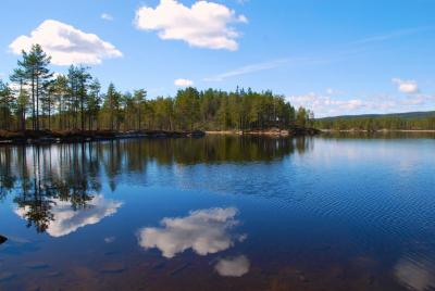 post-14443-0-96489400-1402073823_thumb.j