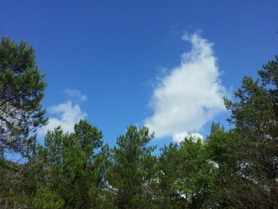 post-14585-0-56819000-1404076211_thumb.j