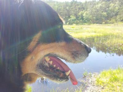 post-14585-0-57443700-1404076242_thumb.j