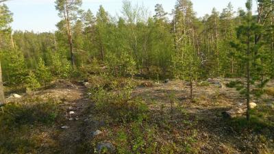 post-2898-0-40338800-1402246349_thumb.jp