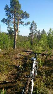 post-2898-0-81789700-1402246328_thumb.jp