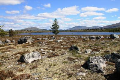 post-4016-0-18010300-1403805344_thumb.jp