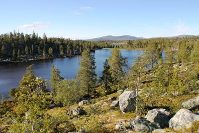 post-4016-0-29820100-1403805339_thumb.jp