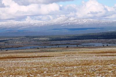 post-4016-0-41131200-1403805297_thumb.jp