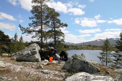 post-4016-0-59701200-1403805342_thumb.jp