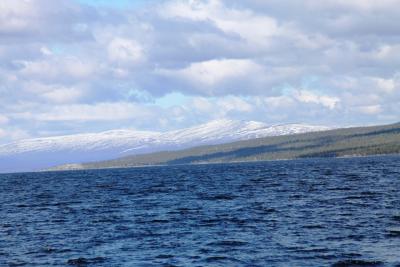 post-4016-0-98360200-1403805306_thumb.jp