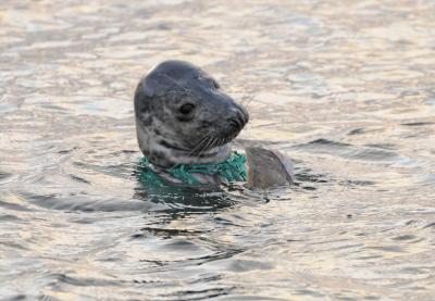 post-4220-0-30153700-1402835087_thumb.jp