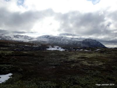 post-4444-0-26232700-1403733689_thumb.jp