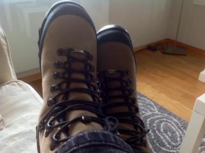 post-4444-0-35476000-1403101228_thumb.jp