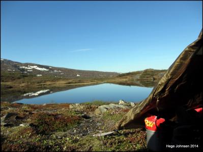 post-4444-0-50526000-1401728198_thumb.jp