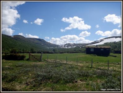 post-4444-0-82651700-1402260397_thumb.jp