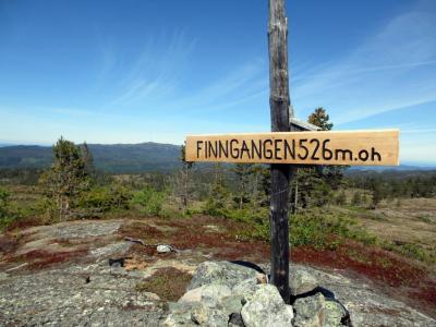 post-4444-0-91109700-1401728280_thumb.jp