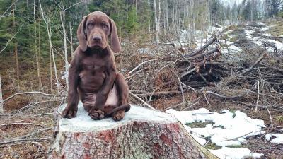 post-4650-0-98024500-1403685813_thumb.jp