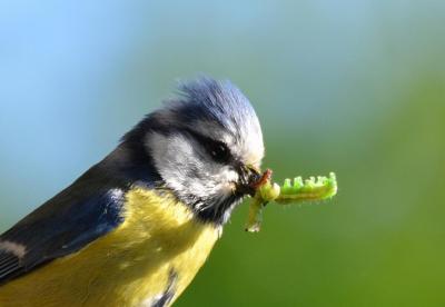 post-8462-0-08461900-1403379303_thumb.jp