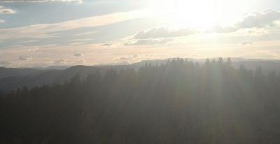 post-9055-0-89460800-1402515482_thumb.jp