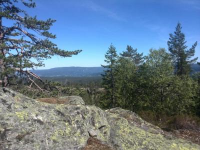 post-9055-0-98661400-1402779196_thumb.jp