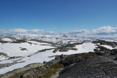 post-9845-0-22186800-1404126462_thumb.jp