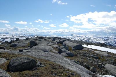 post-9845-0-88464700-1404126505_thumb.jp