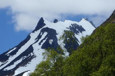 post-10375-0-39956700-1435591725_thumb.j