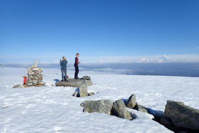 post-10375-0-68148000-1435079840_thumb.j