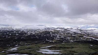 post-11420-0-68133000-1433705600_thumb.j