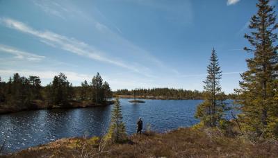 post-12278-0-03066600-1434021044_thumb.j