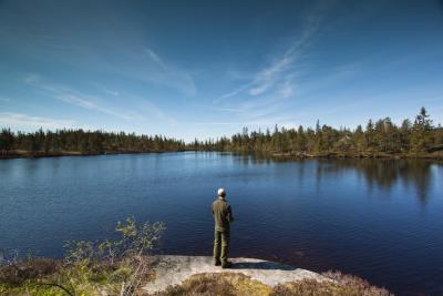 post-12278-0-15992600-1434021063_thumb.j