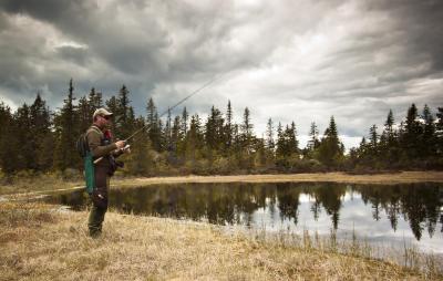 post-12278-0-27514700-1434015667_thumb.j